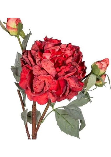Yapay Gül Kurumuş Efektli Kırmızı 60 Cm. modelleri
