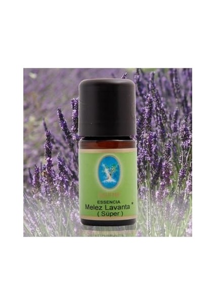 Melez Lavanta Yağı 5 ml