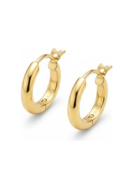 Altın Küpe fiyatları