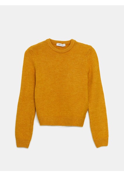 Yeni Sezon Bisiklet Yaka Kadın Triko Kazak indirimleri