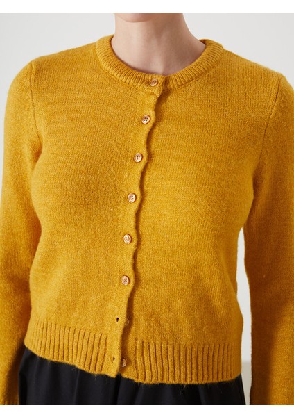 Yeni Sezon Bisiklet Yaka Crop Kadın Triko Hırka modelleri