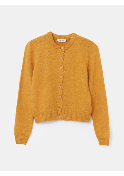 Yeni Sezon Bisiklet Yaka Crop Kadın Triko Hırka indirimleri