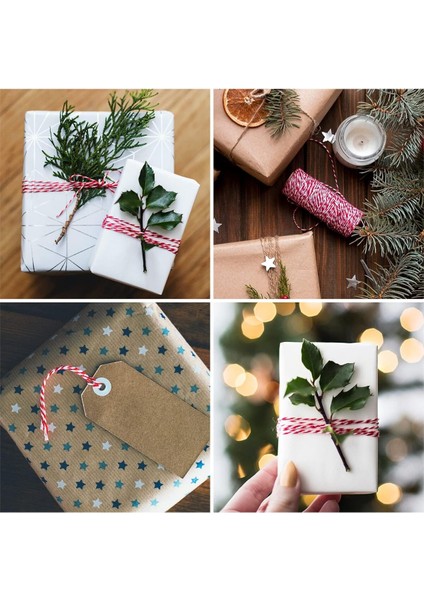 10 Metre Kırmızı-Beyaz Bileklik Ipi Hediye Süsleme Ipi Marteniçka Paket Ipi fiyatları