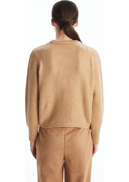 Yeni Sezon Bisiklet Yaka Düz Uzun Kollu Kadın Triko Kazak fırsatları