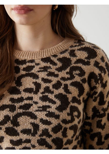 Yeni Sezon Bisiklet Yaka Leopar Desenli Kadın Triko Kazak modelleri
