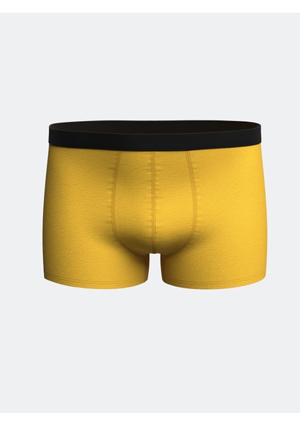 Yeni Sezon Standart Kalıp Pamuklu Esnek Erkek Boxer 3'lü fırsatları