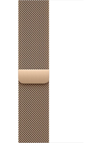 Band - Loop - 46 mm - Altın Rengi - S/m