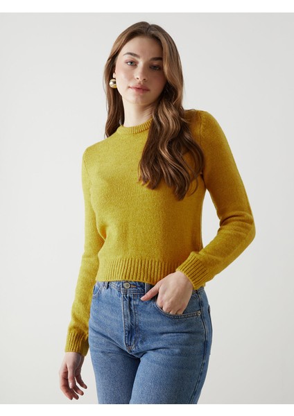 Yeni Sezon Bisiklet Yaka Kadın Triko Kazak