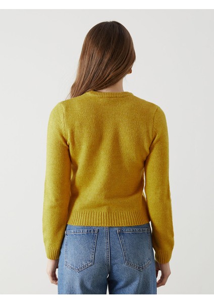 Yeni Sezon Bisiklet Yaka Kadın Triko Kazak fırsatları