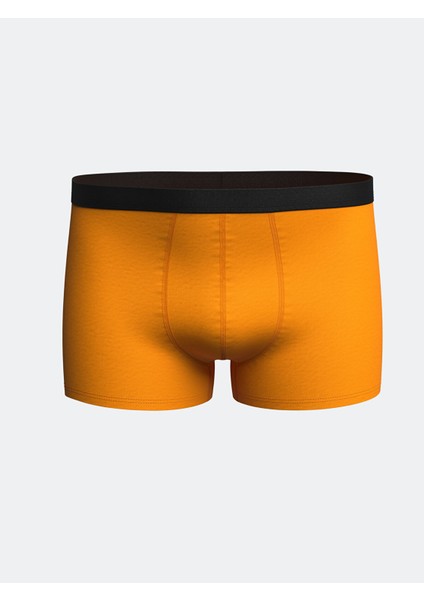 Yeni Sezon Standart Kalıp Pamuklu Esnek Erkek Boxer 3'lü modelleri