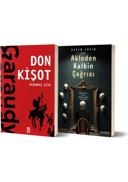 Yaşanmış Şiir: Don Kişot - Akleden Kalbin Çağrısı