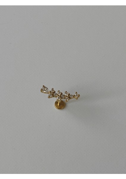 Taşlı Yaprak Detaylı Gold Piercing fırsatları