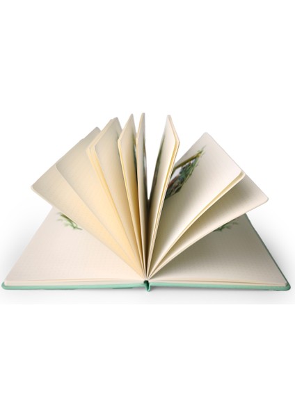 3D Panda Temalı Defter