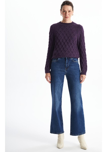 Yeni Sezon Bisiklet Yaka Kendinden Desenli Uzun Kollu Kadın Triko Kazak fiyatları