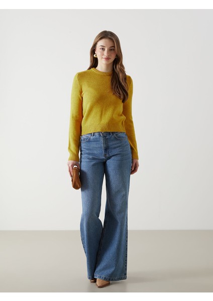 Yeni Sezon Bisiklet Yaka Kadın Triko Kazak fiyatları