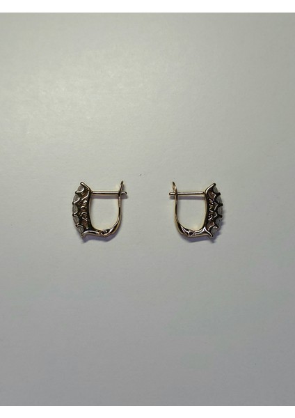 Çelik Zirkon Taşlı Tek Sıra Küpe Gold Renk Beştaş Zarif Halka Küpe modelleri