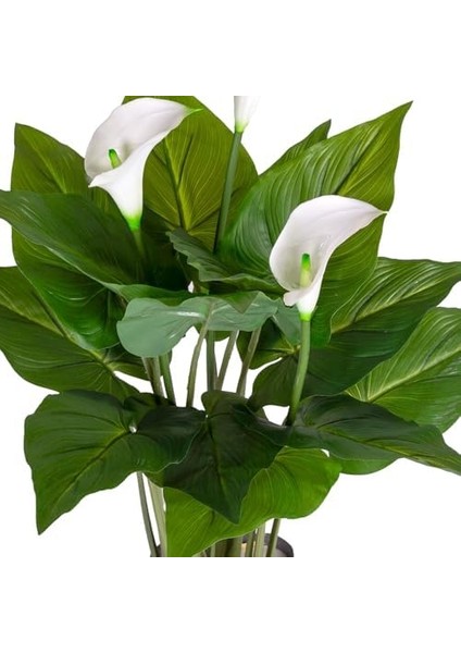 Yapay Kala Zambak Ağacı Gerçek Dokulu Yeşil 68 Cm. modelleri