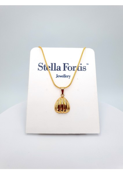 Altın Istiridye Kolye – Deniz Esintili, Bombeli Zarif Tasarım indirimleri