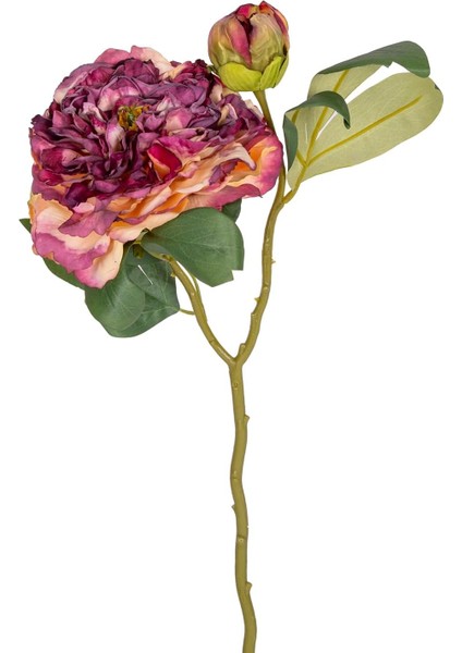 Gül Tomurcuklu Mor 50 Cm.