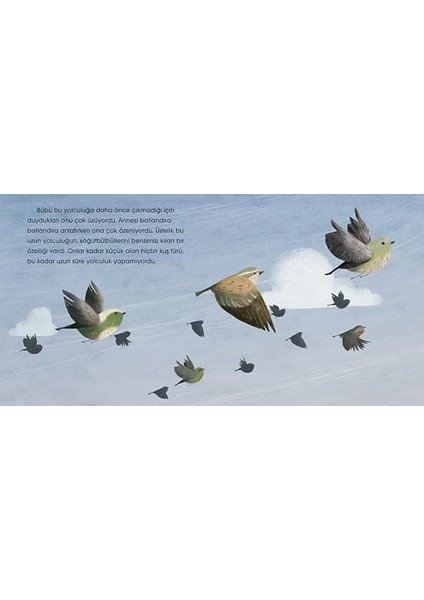 Gökyüzünün Yüzü ve Söğütbülbülü Bübü: Değerler Eğitimi Serisi 1. Kitap