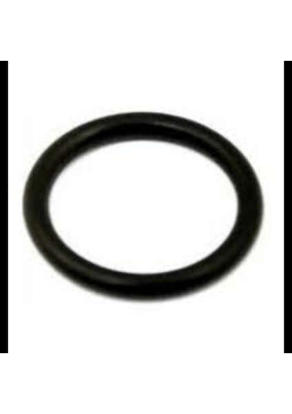 Opel Astra G 98 ve Sonrası Uyumlu Kalorifer Lastiği Set Içi 10 Lu 2114379 00 Wısco