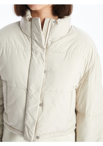 Yeni Sezon Dik Yaka Kadın Şişme Mont fırsatları