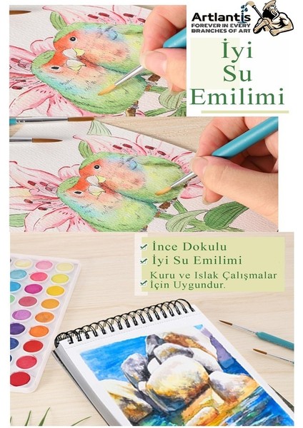 12 Renk Tablet Sulu Boya ve A5 Telli Suluboya Bloğu Kağıdı A5 210GR 20 Yaprak Ince Dokulu Taş Suluboya Plastik Kutulu fiyatları