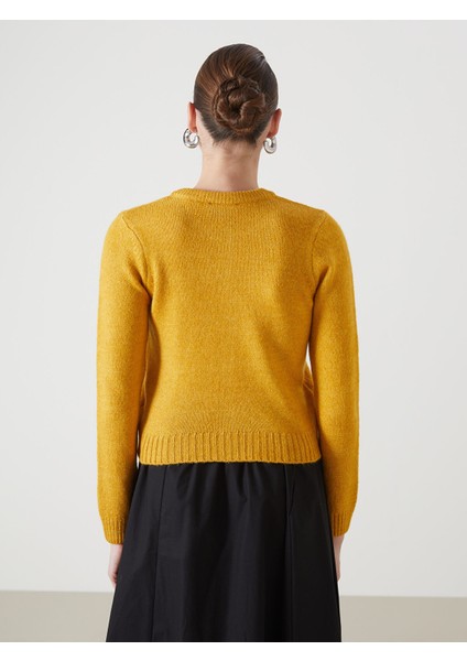 Yeni Sezon Bisiklet Yaka Crop Kadın Triko Hırka fırsatları