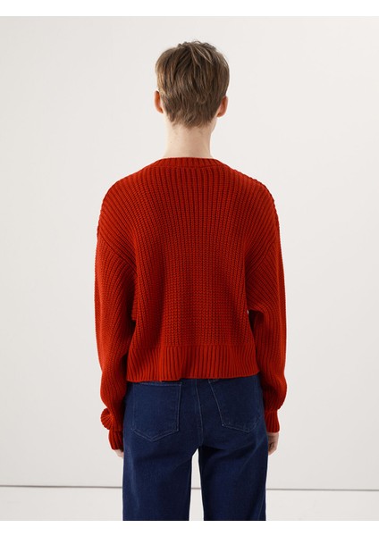 Yeni Sezon Bisiklet Yaka Crop Kadın Triko Kazak fırsatları