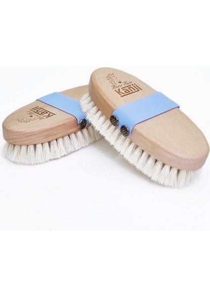 %100 Doğal At Kılı Masaj ve Kuru Fırçalama Için Bebe Mavi Kemerli Vücut Peeling Selülit Fırçası