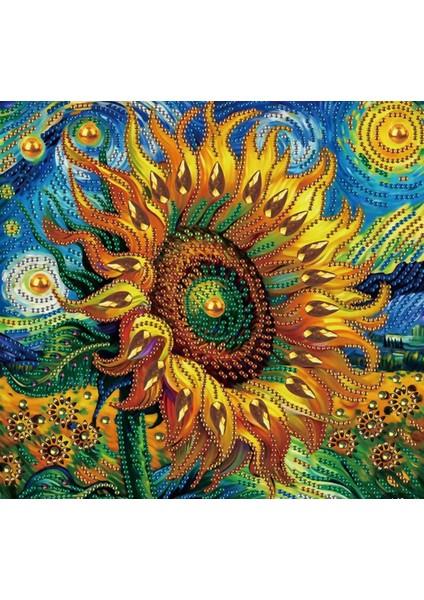 5 D Elmas Boyama 30X30 cm Tablo