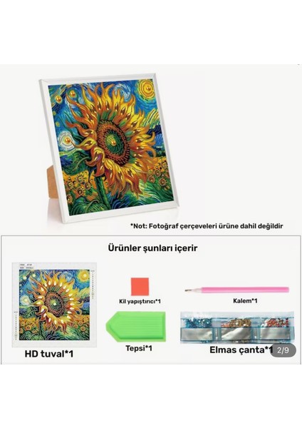 5 D Elmas Boyama 30X30 cm Tablo fiyatları