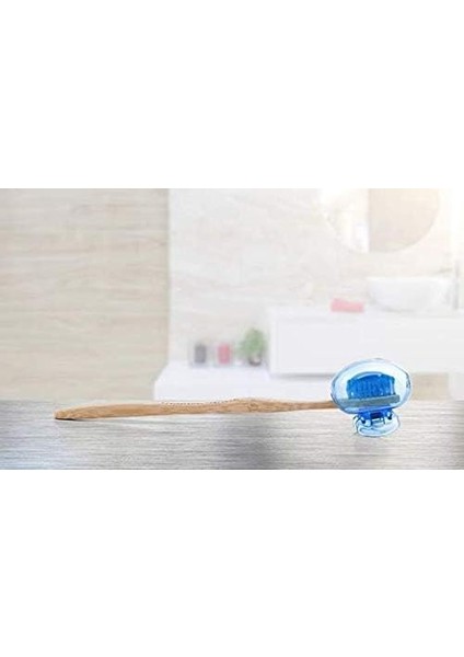 Steriball Diş Fırçası Için Vegan Hijyenik Koruyucu Mavi Kap