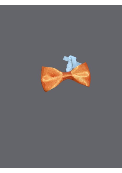 Renkli Çocuk Papyon fiyatları