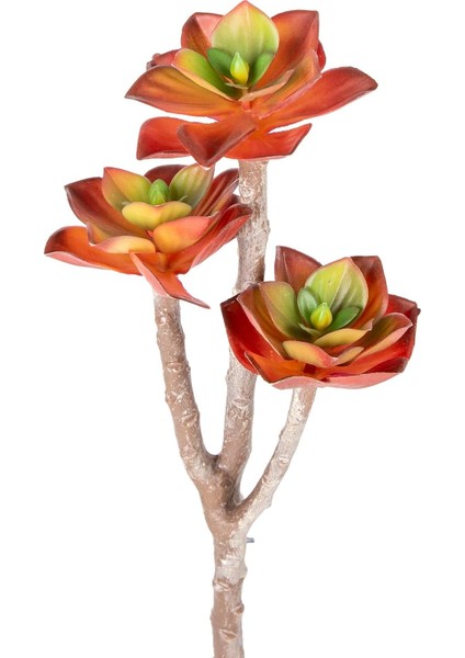 Yapay Kaktüs Sukulent Kırmızı 35 cm