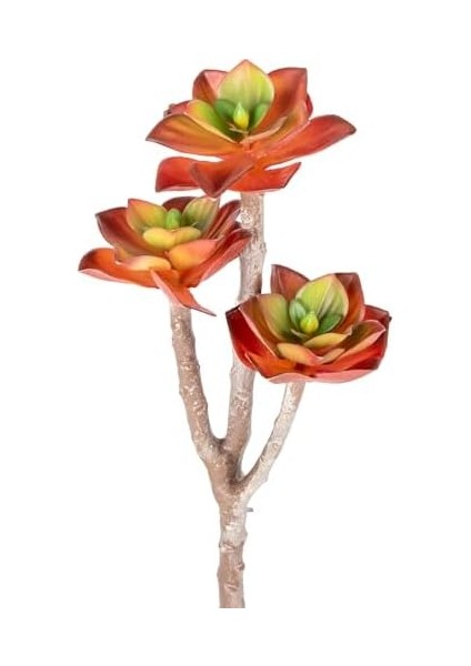 Yapay Kaktüs Sukulent Kırmızı 35 cm fiyatları