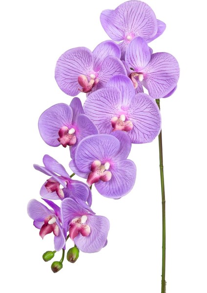 Yapay Orkide Gerçek Dokulu Lila 95 Cm.