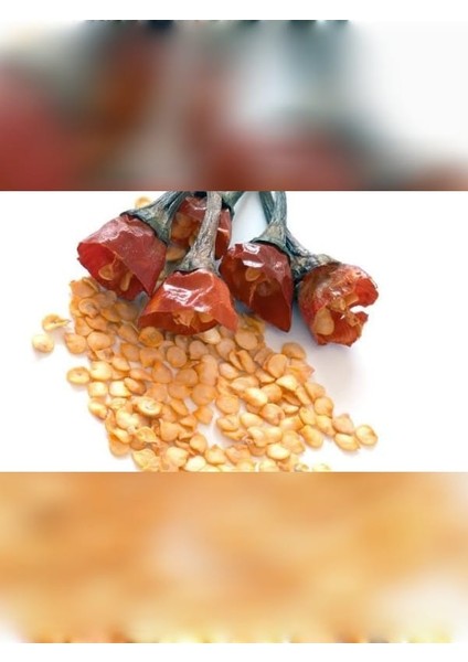 Acı Biber Çekirdeği