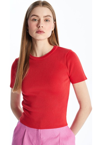 Yeni Sezon Bisiklet Yaka Düz Kısa Kollu Kadın Triko Kazak