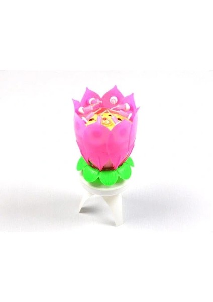 Müzikli Mum fiyatları