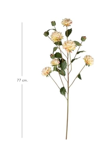 Krizantem Krem 77 Cm. modelleri