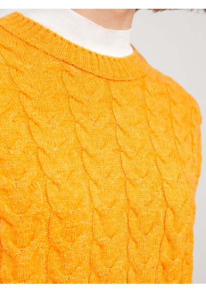 Yeni Sezon Bisiklet Yaka Kendinden Desenli Uzun Kollu Kadın Triko Kazak modelleri