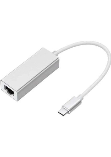ZR117 Type-C Ethernet Metal Çevirici