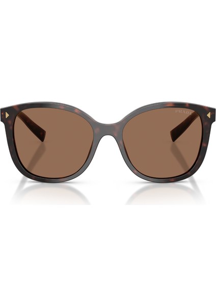 Pr 22ZS 17N06B 53 Prada Güneş Gözlüğü fiyatları