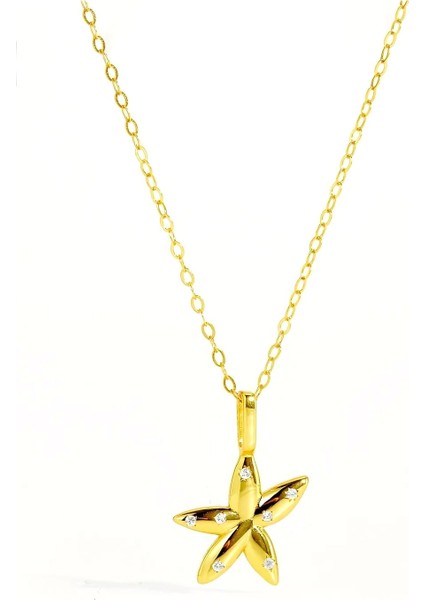 Seastar Işıltılı Yıldız Minimal Kadın Gümüş Kolye modelleri