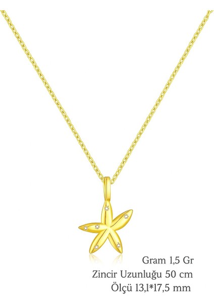 Seastar Işıltılı Yıldız Minimal Kadın Gümüş Kolye fırsatları