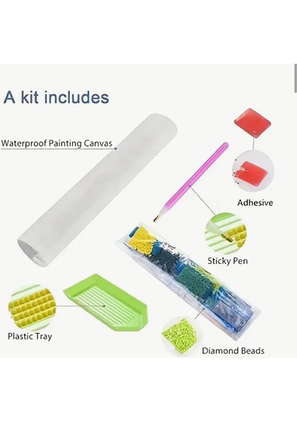 5 D Elmas Boyama Seti 30X30 cm Tablo modelleri