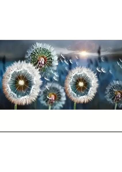 5 D Elmas Mozaik Boyama 70 cm x 40 cm Tablo