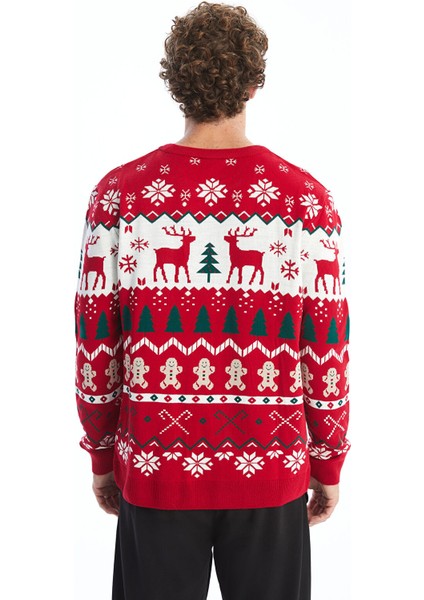 Yeni Sezon Bisiklet Yaka Uzun Kollu Yılbaşı Temalı Erkek Triko Kazak fırsatları