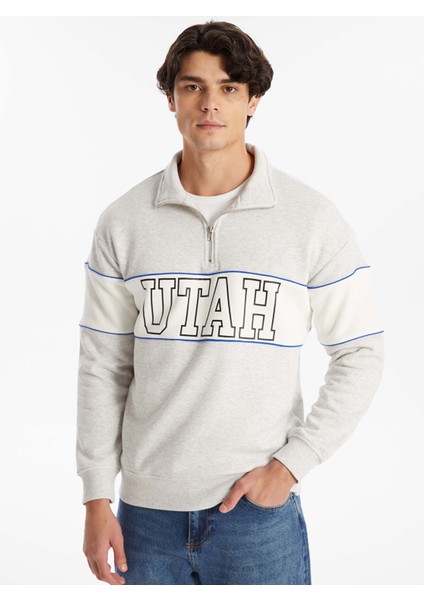 Yeni Sezon Dik Yaka Uzun Kollu Baskılı Erkek Kalın Sweatshirt fırsatları